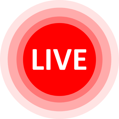 Hamster Live Webcam